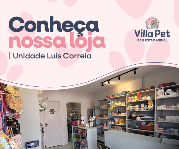 Conheça Nossa Loja Und. Luís Correia Mobile