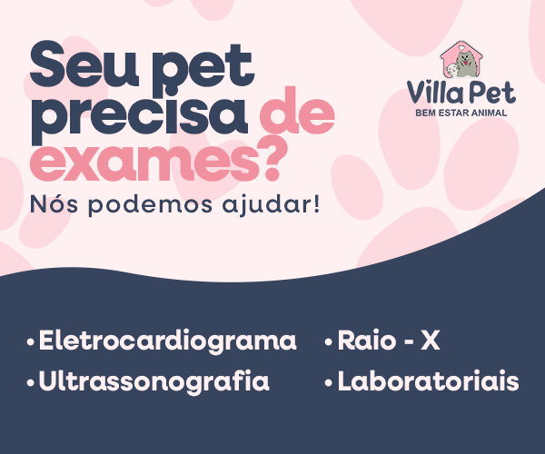 Podemos Ajudar Mobile